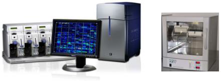 染色体微阵列分析技术/基因芯片